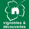 Vignoble et découvertes